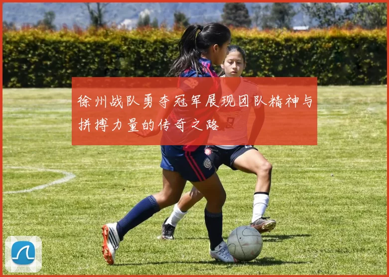 徐州战队勇夺冠军展现团队精神与拼搏力量的传奇之路
