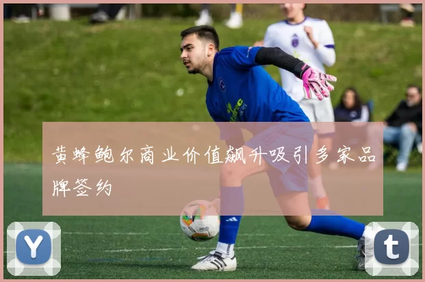 黄蜂鲍尔商业价值飙升吸引多家品牌签约