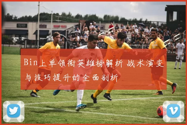 Bin上单领衔英雄榜解析 战术演变与技巧提升的全面剖析