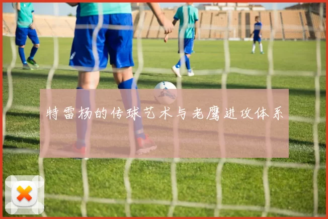 特雷杨的传球艺术与老鹰进攻体系