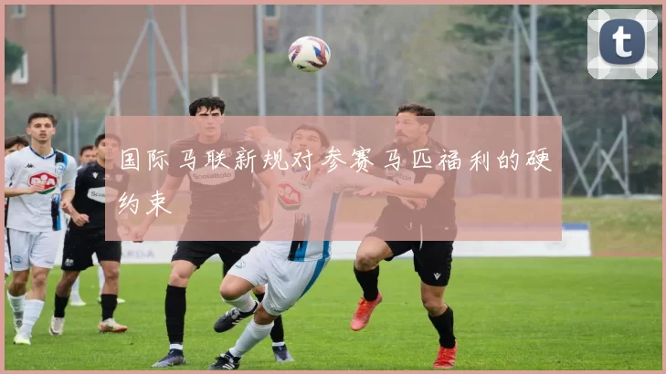 国际马联新规对参赛马匹福利的硬约束